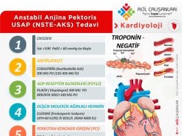 USAP Tedavi Akıl Kartı