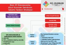 Non-STEMI (NSTE-AKS) Akut Koroner Sendrom Tedavi Akıl Kartı