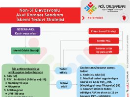 Non-STEMI (NSTE-AKS) Akut Koroner Sendrom Tedavi Akıl Kartı