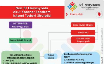 Non-STEMI (NSTE-AKS) Akut Koroner Sendrom Tedavi Akıl Kartı