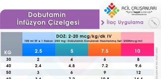Dobutamin Uygulama Akıl Kartı