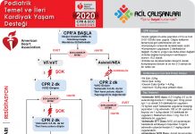 Pediatrik İleri Yaşam Desteği AHA 2020 Akıl Kartı