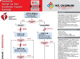 Pediatrik İleri Yaşam Desteği AHA 2020 Akıl Kartı