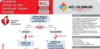 Pediatrik İleri Yaşam Desteği AHA 2020 Akıl Kartı