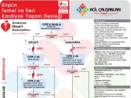 Yetişkin İleri Yaşam Desteği AHA 2020 Akıl Kartı