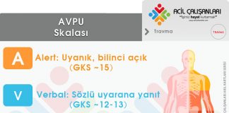 AVPU Akıl Kartı