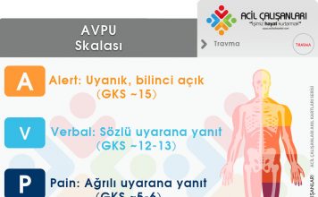 AVPU Akıl Kartı