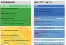 Öneri Sınıfı Kanıt Düzeyi AHA 2025