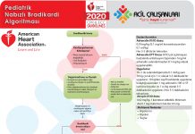 Pediatrik Nabızlı Bradikardi Algoritması Akıl Kartı 2020 AHA
