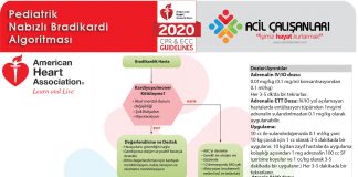 Pediatrik Nabızlı Bradikardi Algoritması Akıl Kartı 2020 AHA