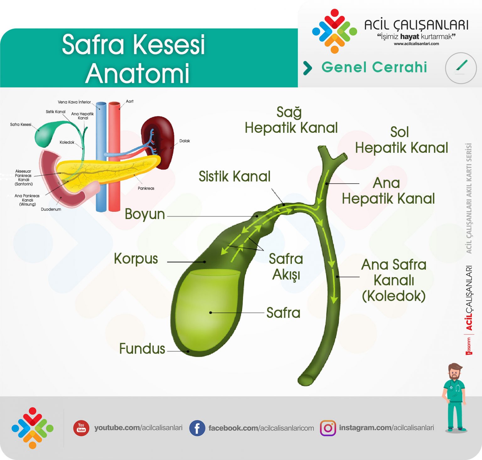 Safra Kesesi ve Safra Yolu Hastalıkları Genel Bakış Acil Çalışanları Safra Kesesi ve Safra Yolu Hastalıkları Genel Bakış Acil Çalışanları