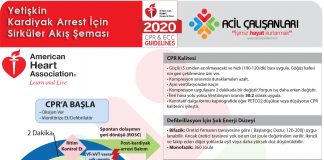 Yetişkin Kardiyak Arrest İçin Sirküler Akış Şeması Akıl Kartı