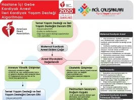 Gebe Kardiyak Arrest Algoritması Akıl Kartı AHA 2020