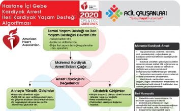 Gebe Kardiyak Arrest Algoritması Akıl Kartı AHA 2020
