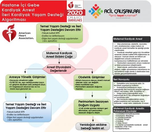 Gebe Kardiyak Arrest Algoritması Akıl Kartı AHA 2020