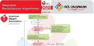 Neonatal Resüsitasyon Algoritması Akıl Kartı AHA 2020