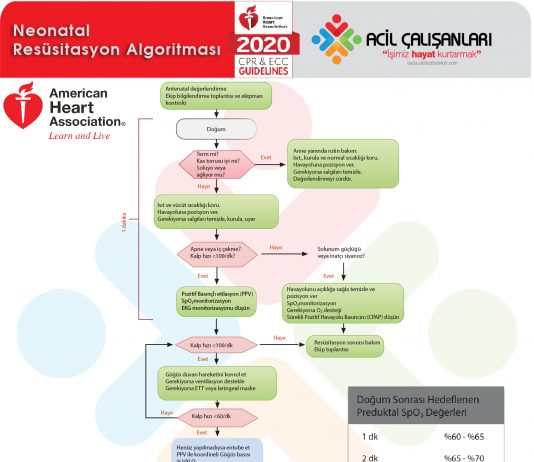 Neonatal Resüsitasyon Algoritması Akıl Kartı AHA 2020