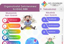 SLUDGE – BBB – DUMBELS Organofosfat Zehirlenmesi