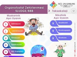 SLUDGE – BBB – DUMBELS Organofosfat Zehirlenmesi