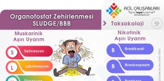 SLUDGE – BBB – DUMBELS Organofosfat Zehirlenmesi