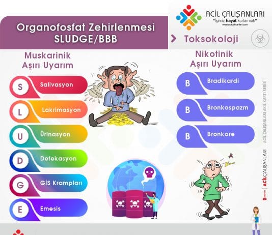 SLUDGE – BBB – DUMBELS Organofosfat Zehirlenmesi