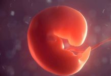 Acil Çalışanları Tanıtım 3D Animasyon Aralık 2020