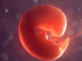 Acil Çalışanları Tanıtım 3D Animasyon Aralık 2020