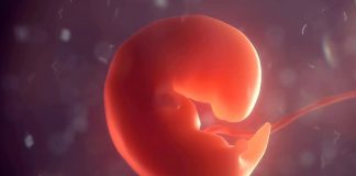 Acil Çalışanları Tanıtım 3D Animasyon Aralık 2020