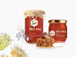 Deli Bal (Grayanotoksin) Zehirlenmesi