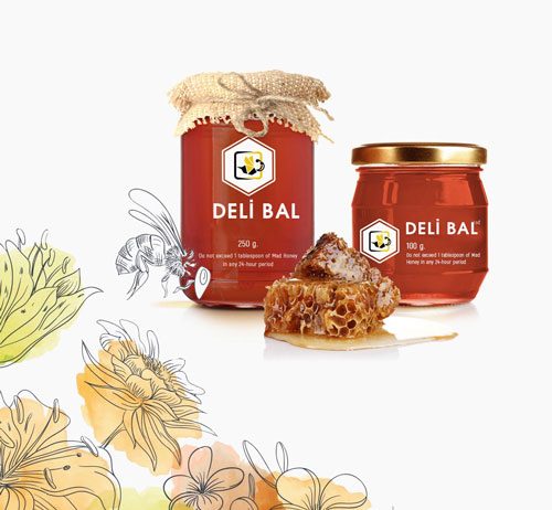 Deli Bal (Grayanotoksin) Zehirlenmesi