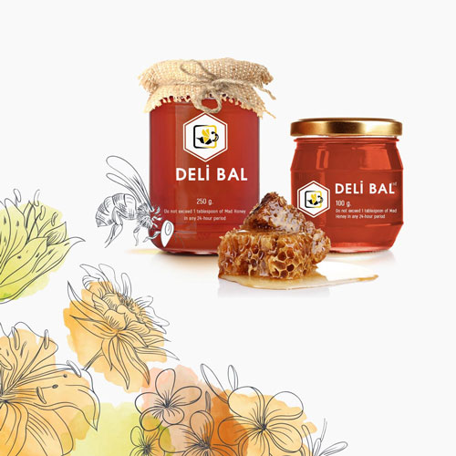 Deli Bal (Grayanotoksin) Zehirlenmesi Acil Çalışanları