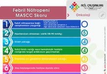 Febril Nötropeni MASCC Skoru Akıl Kartı