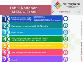Febril Nötropeni MASCC Skoru Akıl Kartı
