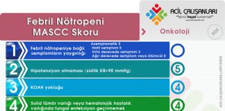 Febril Nötropeni MASCC Skoru Akıl Kartı