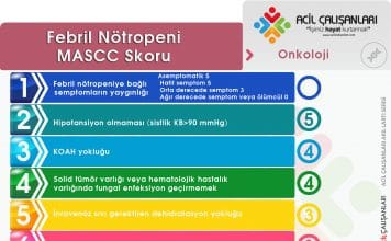 Febril Nötropeni MASCC Skoru Akıl Kartı