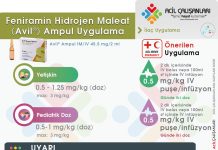 Feniramin Hidrojen Maleat (Avil®) Ampul Uygulama