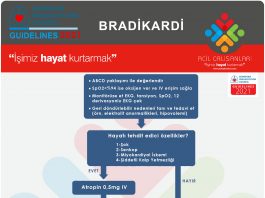 Bradikardi Yönetimi ERC 2021