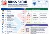NIHSS Skoru (National Institutes of Health Stroke Scale)