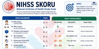 NIHSS Skoru (National Institutes of Health Stroke Scale)