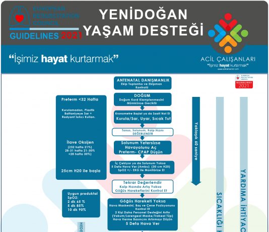 Yenidoğan Yaşam Desteği Akıl Kartı ERC 2021