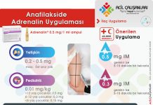 Anafilakside Adrenalin Uygulaması