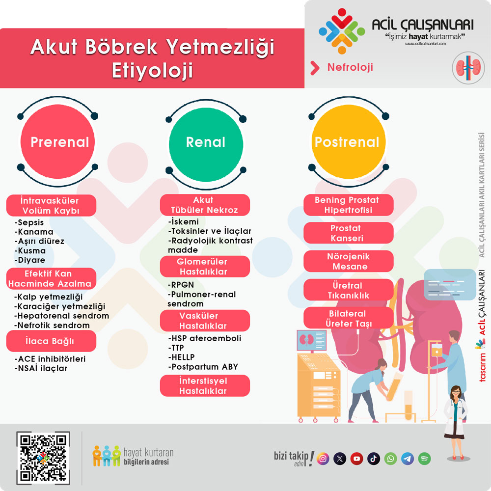 Akut Böbrek Yetmezliği Etiyoloji