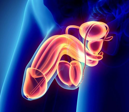 Akut Skrotum Acil Yaklaşım