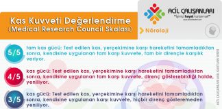 Kas Kuvveti Değerlendirme Akıl Kartı