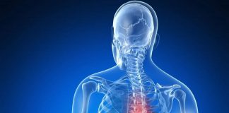 Torakal Vertebra Grafisi Değerlendirilmesi