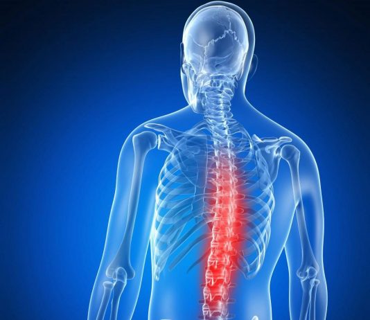 Torakal Vertebra Grafisi Değerlendirilmesi