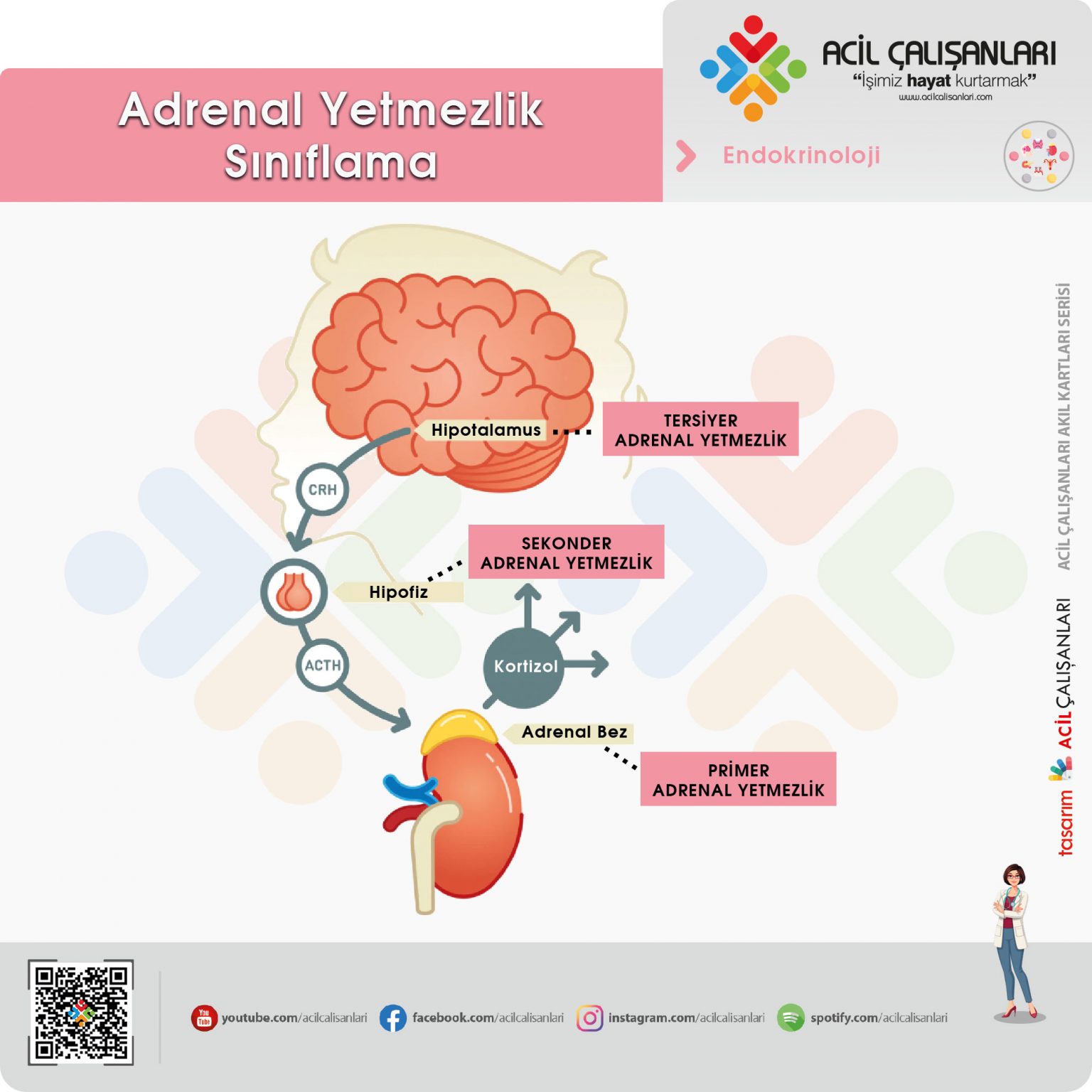 Adrenal Kriz Acil Servis Acil Çalışanları