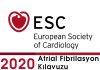 Atrial Fibrilasyon Kılavuzu ESC 2020