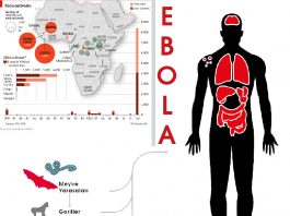 Ebola Virüs Hastalığı