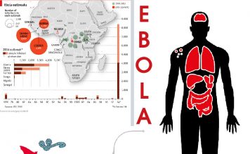 Ebola Virüs Hastalığı